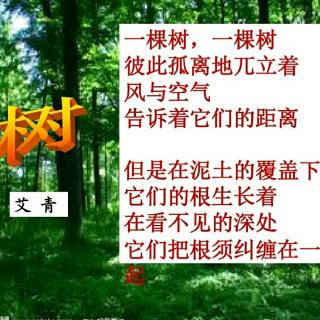 树朗读李玥潼7月13日