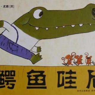 🐊鳄鱼哇尼