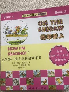 on the seesaw 20180720