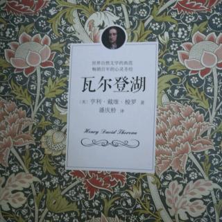 《瓦尔登湖》41-51页（当时，我在村子里……才能上路）李秀丽（来自FM96397053)