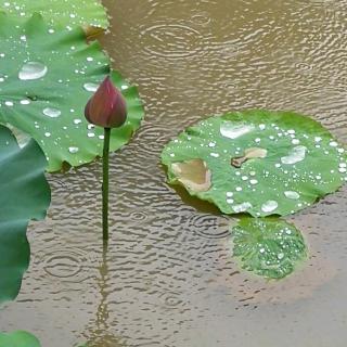 等你 在雨中 三录