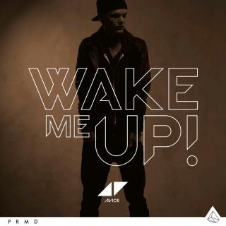 Avicii-Wake me up