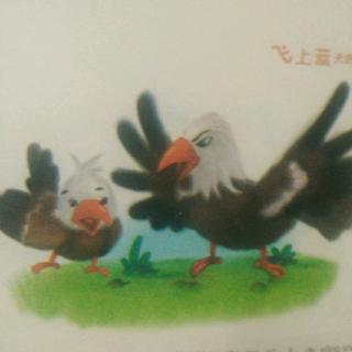 通许县春蕾幼儿园园长妈妈讲故事《飞上蓝天的小鹰》