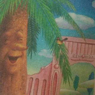 通许县春蕾幼儿园园长妈妈讲故事《蜂鸟和油棕树》