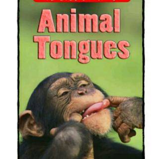 【Level D】Animal Tongues 