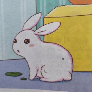 我家的小白兔