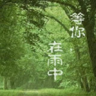 《等你，在雨中》余光中