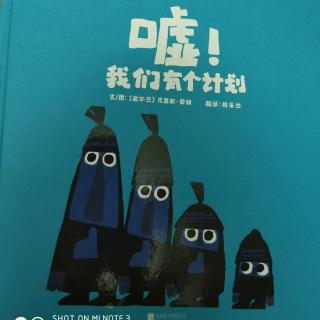 嘘！我们有计划！