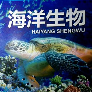 海洋生物(4)百科全书