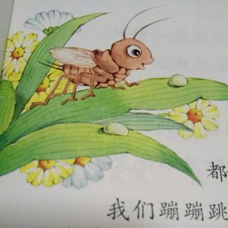 二年级下册.课文11《我是一只小虫子》