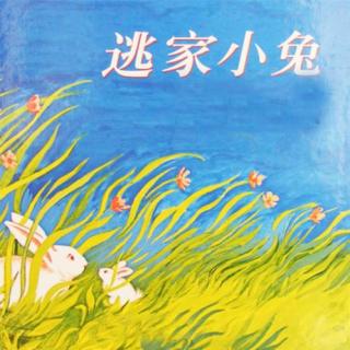 【火火兔讲绘本】系列：逃家小兔