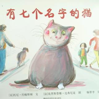 七个名字的猫2