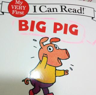 Big  pig