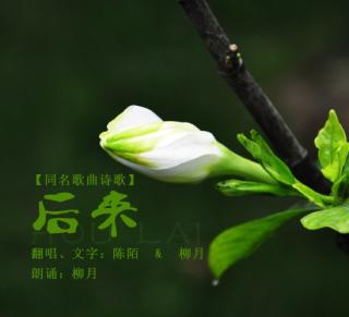 同名歌曲诗歌《后来》（陈陌、柳月版）