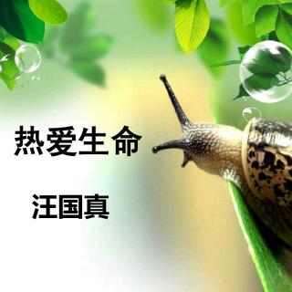 2热爱生命汪国真