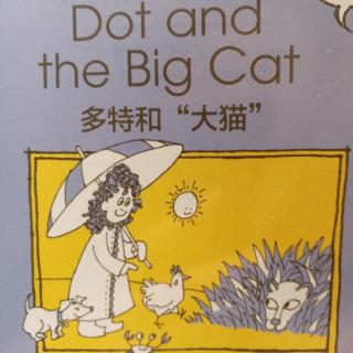 Dot and the big cat