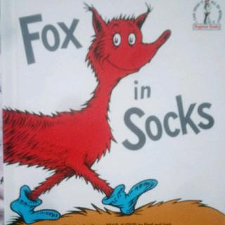 L11 12 Fox in socks