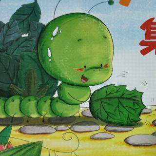 东艺幼儿园晚安故事《毛毛虫和小甲虫》