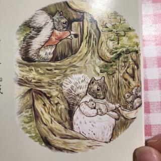 小松鼠藏坚果的故事2