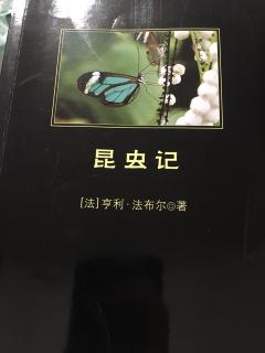 伟大的父亲:西西斯