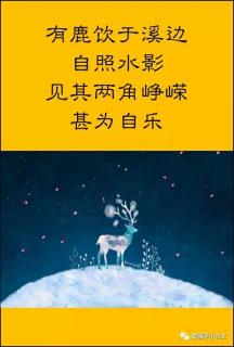 鹿🦌照水