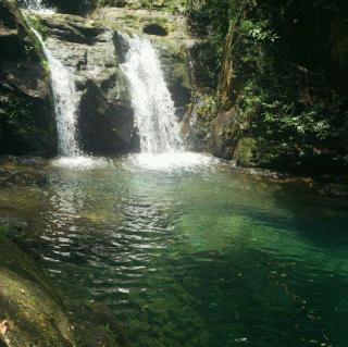 19.鼎湖山听泉(谢大光)