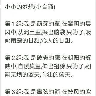 小小的梦想