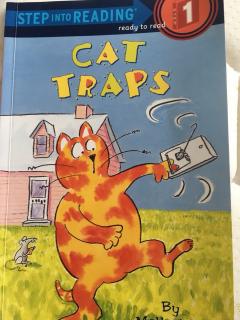 cat  traps-3