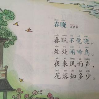 《春晓》孟浩然