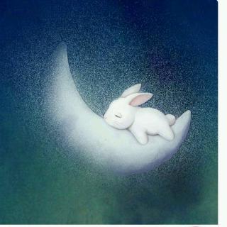 用心说一只想奔上月亮的小兔子来自fm94548152