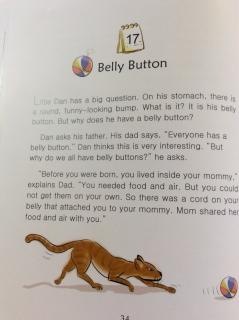 5-17 BeIly Button