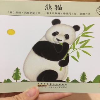 熊猫🐼