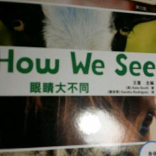 《丽声英语百科  3级  How.We See》