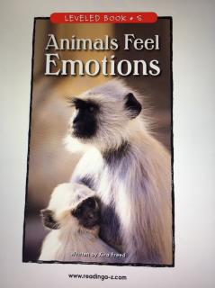 李宇洋《Animals Feel Emotions 》