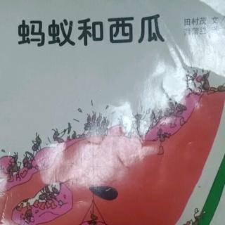 袁浩轩讲故事《蚂蚁和西瓜🍉》