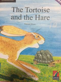 The tortoise and the hare