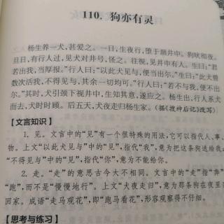 嘟嘟读文言文110：《狗亦有灵》