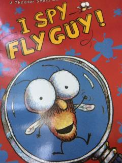 20180720 Jacob19 I spy fly guy