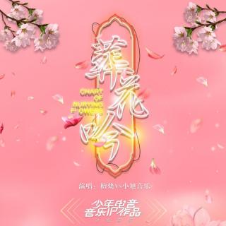 少年梦·葬花吟 伴奏