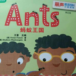 《丽声英语百科  5级  Ants》