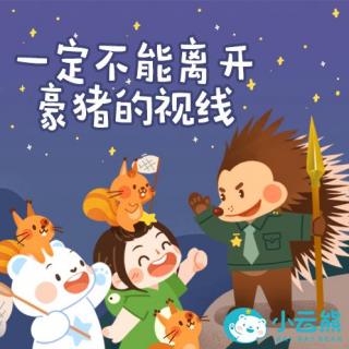 38.一定不能离开豪猪的视线——要注意安全哦