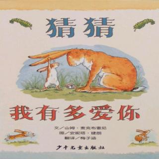 猜猜我有多爱你