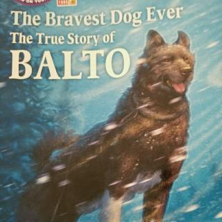 The Bravest Dog Ever The True Story of BALTO