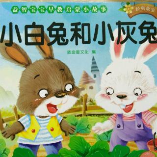 【故事289】领航卓越幼教集团园长妈妈晚安故事《小白兔和小灰兔》