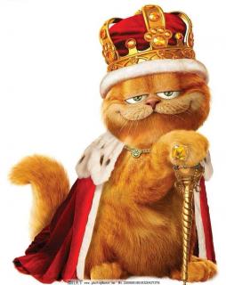 Garfield Cat ❤