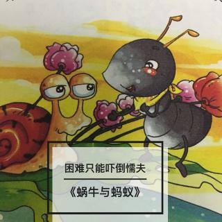 👩🏼‍🏫文艺老师讲故事⭐️勤勉上进篇《蜗牛🐌与蚂蚁🐜》