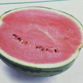 1.把西瓜籽吃进肚子里，会长出西瓜🍉吗？
