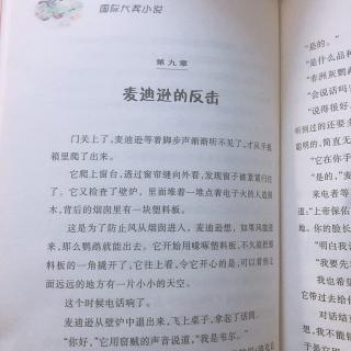 为小新哥哥读书—《鹦鹉“麦子”历险记》第九章麦迪逊的反击