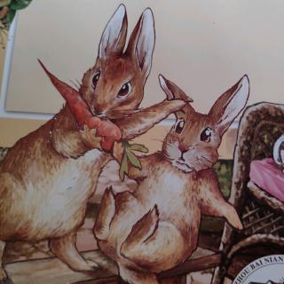 彼得兔和他的朋友们之坏兔子的故事