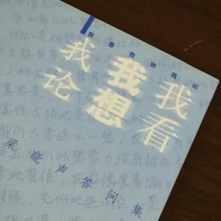 《我看我想我论》2、学中文有什么用？